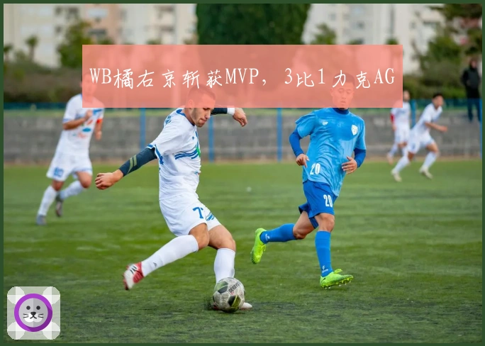 WB橘右京斩获MVP，3比1力克AG