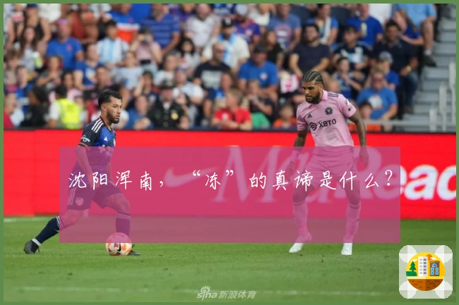 沈阳浑南，“冻”的真谛是什么？